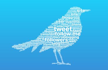 Twitter Bird Tag Cloud