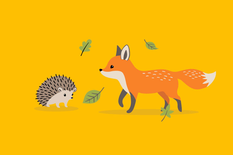 Hedgehog vs Fox